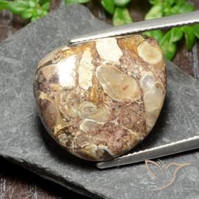 17.47 ct Multicolor Jasper Stone, Natural Jasper in Half Heart Cabochon Shape for Sale