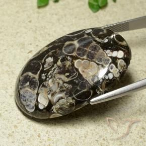 Jasper Gemstone in 34.6 x 25.5 mm Size for Sale, Jasper Stone in Multicolor Color