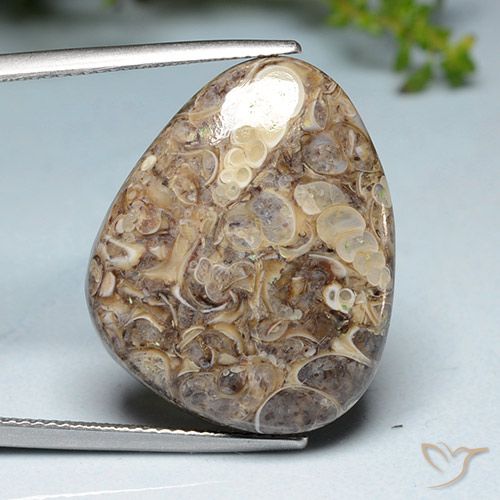 20.52ct Natural Multicolor Jasper, Fancy, Opaque