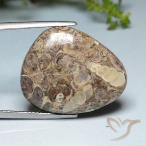 20.52 ct Multicolor Jasper Stone, Natural Jasper in Shark Fin Cabochon Shape for Sale