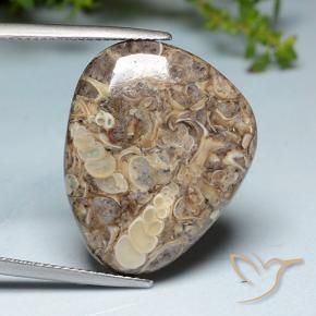 Jasper Gemstone in 24.4 x 19.8 mm Size for Sale, Jasper Stone in Multicolor Color