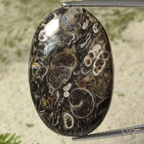 25.96ct Natural Multicolor Jasper, Oval, Opaque 25.96ct Natural Multicolor Jasper, Oval, Opaque