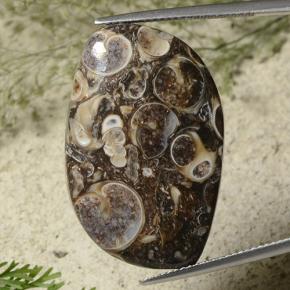 Multicolor Jasper Gem - 26.3ct Fancy Cabochon (ID: 487185)