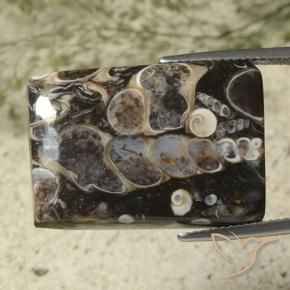 27.44 ct Multicolor Jasper Stone, Natural Jasper in Baguette Cabochon Shape for Sale