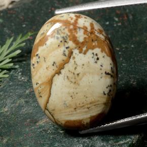 Multicolore Diaspro Gem - 21ct Ovale cabochon (ID: 487381)