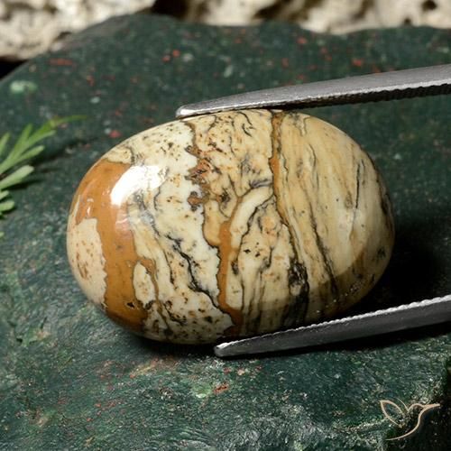 19.06 ct Multicolor Jasper Stone, Natural Jasper in Oval Cabochon Shape for Sale
