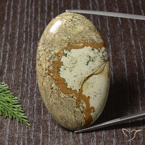 73.63ct Natural Multicolor Jasper, Oval, Opaque