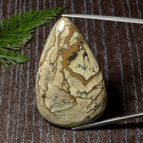 Multicolor Jasper Gem - 53.1ct Pear Cabochon (ID: 487390)