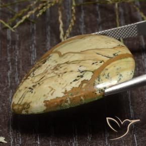 Jasper Gemstone in 33.7 x 30.4 mm Size for Sale, Jasper Stone in Multicolor Color