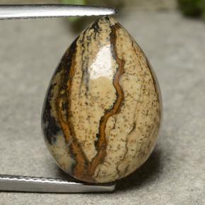 11.4ct Pear Cabochon Multicolor Jasper Gem for sale 11.4ct Pear Cabochon Multicolor Jasper Gem (ID: 487554)
