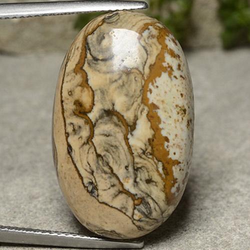 Multicolor Jasper Gem - 20.5ct Oval Cabochon (ID: 487556)