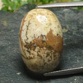 Multicolor Jasper Gem - 15.3ct Oval Cabochon (ID: 487763)