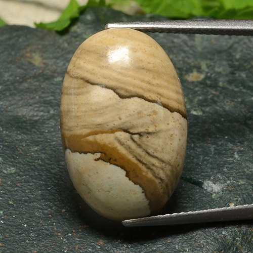 Multicolor Jaspe Gema - 18.6ct Cabujón Óvalo (ID: 487765)