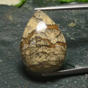 11.4ct Pear Cabochon Multicolor Jasper Gem for sale 11.4ct Pear Cabochon Multicolor Jasper Gem (ID: 487766)
