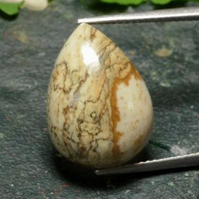 11.5ct Pear Cabochon Multicolor Jasper Gem for sale 11.5ct Pear Cabochon Multicolor Jasper Gem (ID: 487770)