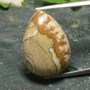 10.4ct Pear Cabochon Multicolor Jasper Gem for sale 10.4ct Pear Cabochon Multicolor Jasper Gem (ID: 487771)