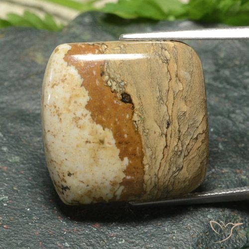 20.36ct Natural Multicolor Jasper, Cushion, Opaque