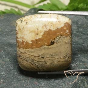 20.36 ct Multicolor Jasper Stone, Natural Jasper in Cushion Cabochon Shape for Sale
