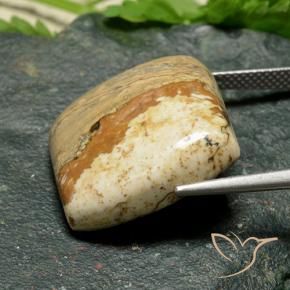 Jasper Gemstone in 19.8 x 19.2 mm Size for Sale, Jasper Stone in Multicolor Color