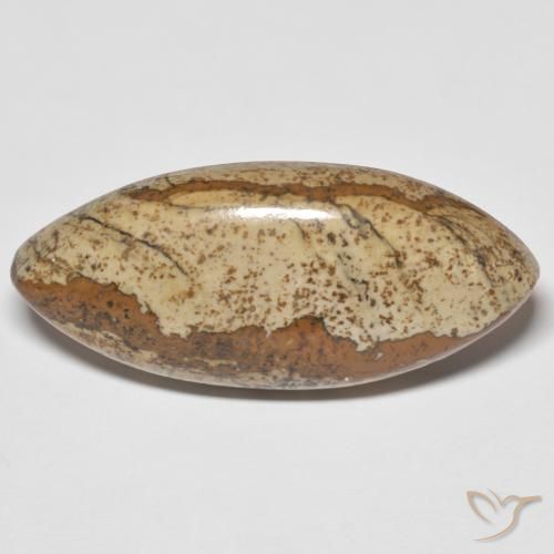 29.48ct Natural Multicolor Jasper, Marquise, Opaque
