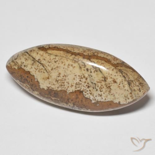 29.48 ct Multicolor Jasper Stone, Natural Jasper in Marquise Cabochon Shape for Sale
