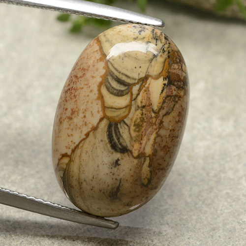 Многоцветный Яшма Камень - 13.8ct Овал Кабошон (ID: 487912)