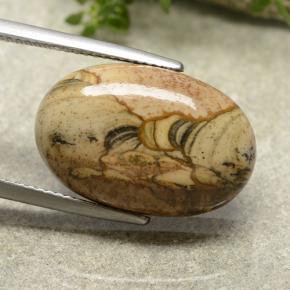 13.79 ct Multicolor Jasper Stone, Natural Jasper in Oval Cabochon Shape for Sale
