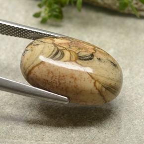 Jasper Gemstone in 20.2 x 13.3 mm Size for Sale, Jasper Stone in Multicolor Color