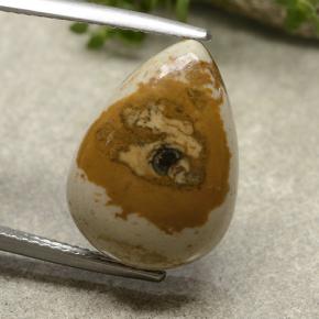 10.4ct Pear Cabochon Multicolor Jasper Gem for sale 10.4ct Pear Cabochon Multicolor Jasper Gem (ID: 487913)