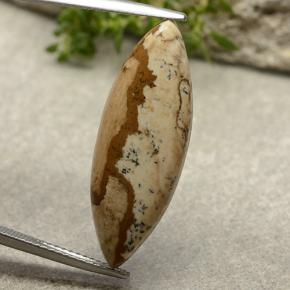 9ct Marquise Cabochon Multicolor Jasper for sale thumb image of 9ct Marquise Cabochon Multicolor Jasper (ID: 487918)