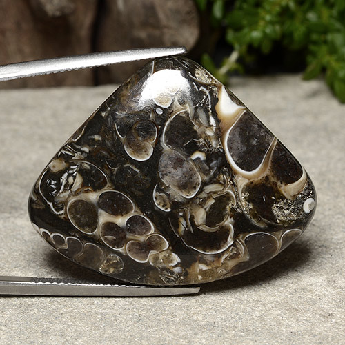 Multicolor Jasper Gem - 36.6ct Pear Cabochon (ID: 488039)