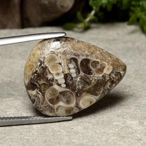 14.09 ct Multicolor Jasper Stone, Natural Jasper in Pear Cabochon Shape for Sale