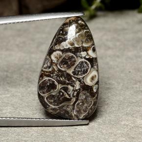 12ct Shark Fin Cabochon Multicolor Jasper for sale thumb image of 12ct Shark Fin Cabochon Multicolor Jasper (ID: 488043)