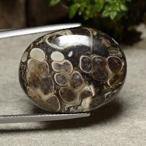 20.30 ct Multicolor Jasper Stone, Natural Jasper in Oval Cabochon Shape for Sale