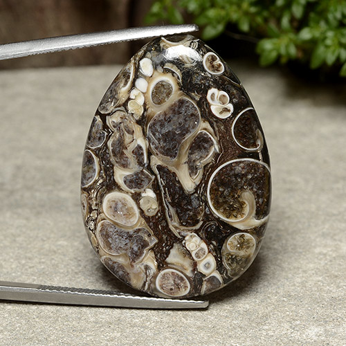 Multicolor Jaspe Gema - 24.2ct Cabujón Pera (ID: 488047)