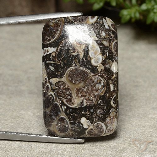 32.91ct Natural Multicolor Jasper, Cushion, Opaque