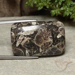 32.91 ct Multicolor Jasper Stone, Natural Jasper in Cushion Cabochon Shape for Sale