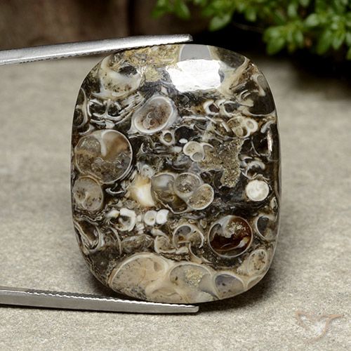38.76ct Natural Multicolor Jasper, Cushion, Opaque