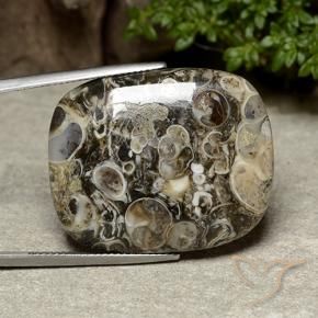 38.76 ct Multicolor Jasper Stone, Natural Jasper in Cushion Cabochon Shape for Sale