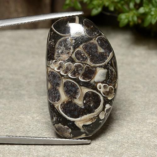 Multicolor Jasper Gem - 21.9ct Fancy Cabochon (ID: 488050)