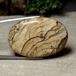 64.04 ct Multicolor Jasper Stone, Natural Jasper in Oval Cabochon Shape for Sale