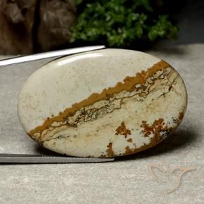 48.47 ct Multicolor Jasper Stone, Natural Jasper in Oval Cabochon Shape for Sale