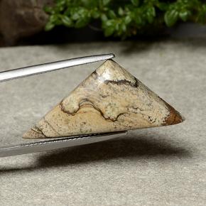 15.95 ct Multicolor Jasper Stone, Natural Jasper in Trillion Cabochon Shape for Sale