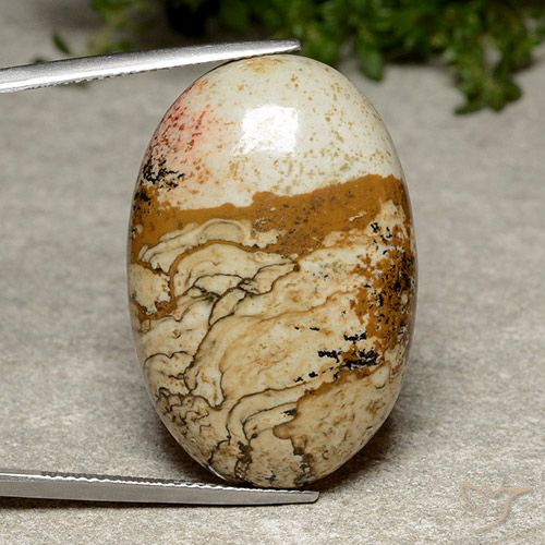 38.46ct Natural Multicolor Jasper, Oval, Opaque