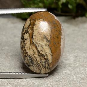 10.8ct Oval Cabochon Multicolor Jasper Gem for sale 10.8ct Oval Cabochon Multicolor Jasper Gem (ID: 488292)