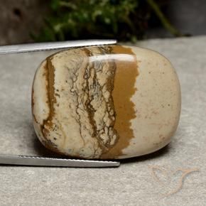 47.11 ct Multicolor Jasper Stone, Natural Jasper in Cushion Cabochon Shape for Sale