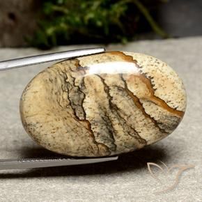 38.03 ct Multicolor Jasper Stone, Natural Jasper in Oval Cabochon Shape for Sale