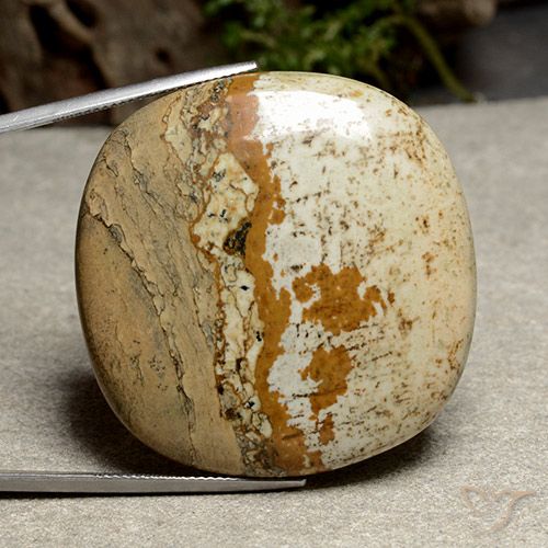 84.37ct Natural Multicolor Jasper, Cushion, Opaque