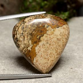 Jasper Gemstone in 23.8 x 22.7 mm Size for Sale, Jasper Stone in Multicolor Color