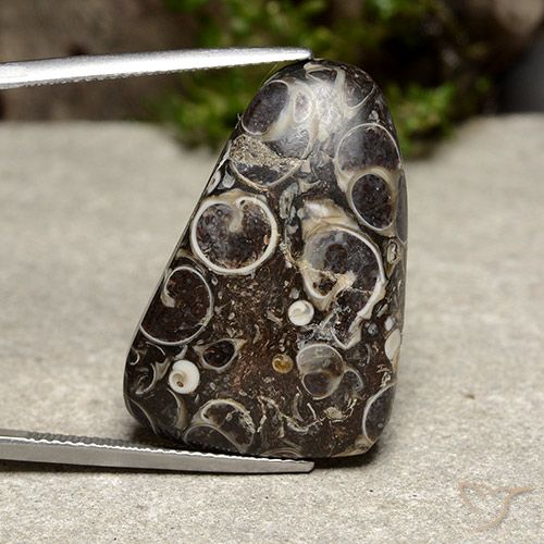 26,16 ct fancy-schliff Jaspis aus Indonesien, Größe: 28,2x18,7 mm, Reinheit: Opaque, Garantiert echter Edelstein, 1 Stück Jaspis in Mehrfarbig Farbe, Mohs-Härte von 6,5 - 7 Geeignet für den täglichen Gebrauch im Schmuck, Photo A